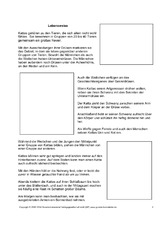 Steckbrief-Katta-Seite-2.pdf